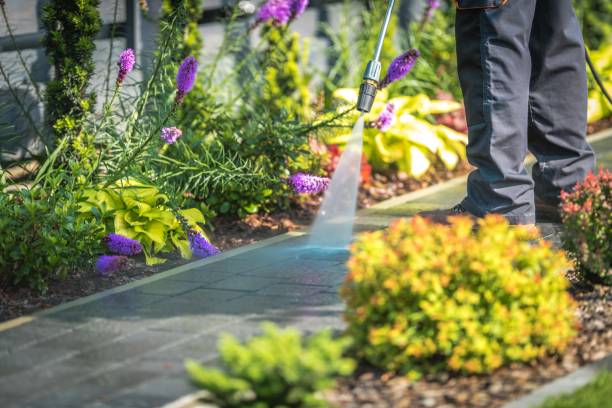 Best Fence Cleaning  in Wallington, NJ