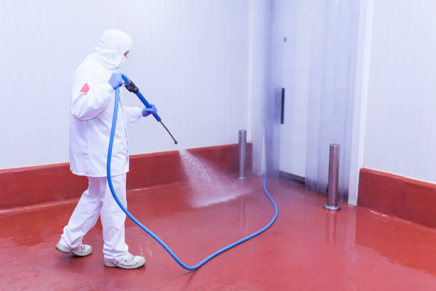 Best Graffiti Removal  in Wallington, NJ