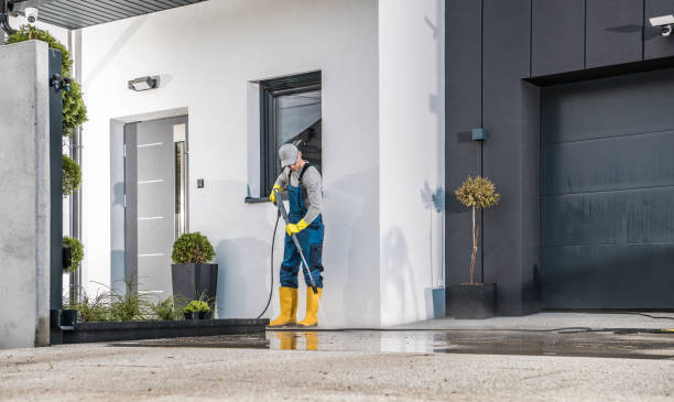 Best Gutter Cleaning  in Wallington, NJ